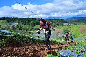 BIB: 838
                            <button type="button" onclick="openModal(13380770)" class="btn btn-primary btn-sm float-right btn-popup" data-toggle="modal" data-target=".modal-high-quality">
                        <i class="fas fa-shopping-cart"></i> Add to Cart
                    </button>
                                            <button type="button" onclick="isThisMe(13380770, true)" class="btn btn-success btn-sm float-right btn-popup btn-isme hidden" data-toggle="tooltip" data-placement="bottom" title="นี่คือรูปของคุณใช่ไหม คลิกที่นี่เพื่อเอาเข้าอัลบั้ม">
                        <i class="fas fa-plus"></i> Add to album
                    </button>
                    <button type="button" onclick="isThisMe(13380770, false)" class="btn btn-warning btn-sm float-right btn-popup btn-isnotme hidden">
                        <i class="fas fa-ban"></i> Remove from album
                    </button>